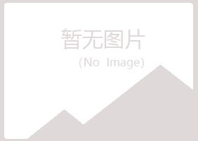 鄢陵山柳化学有限公司